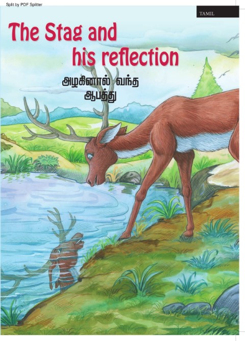 The Stag and his reflection